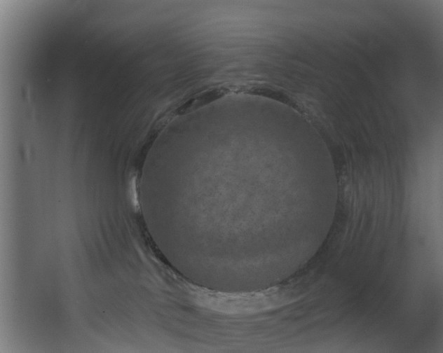 X0000068740042200605011037