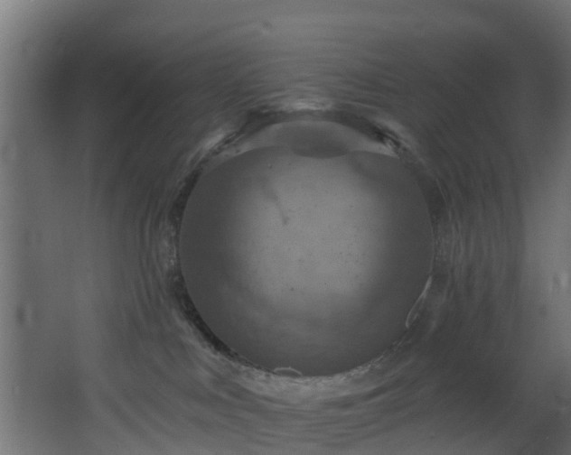 X0000068740043200605011037