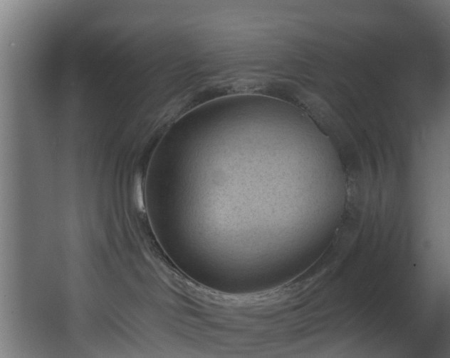 X0000068740046200605011036