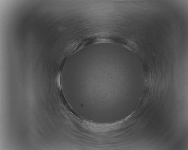 X0000068740047200605011036