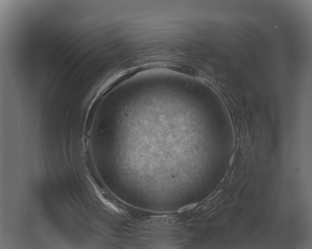 X0000068740050200605011036