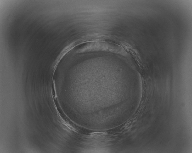 X0000068740051200605011036