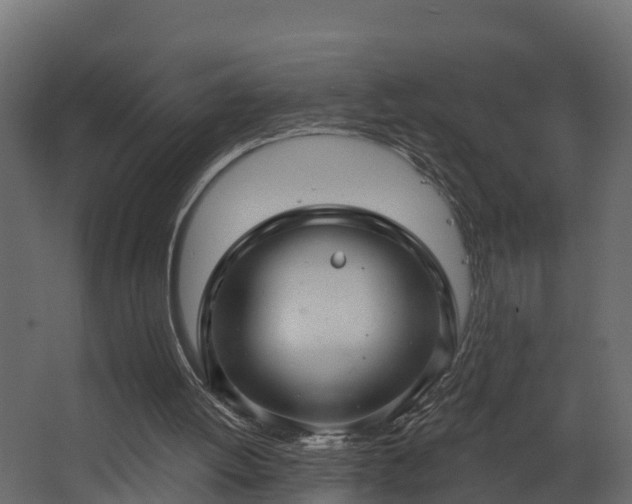 X0000068740052200605011036