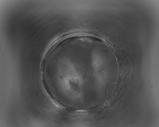 X0000068740053200605011036