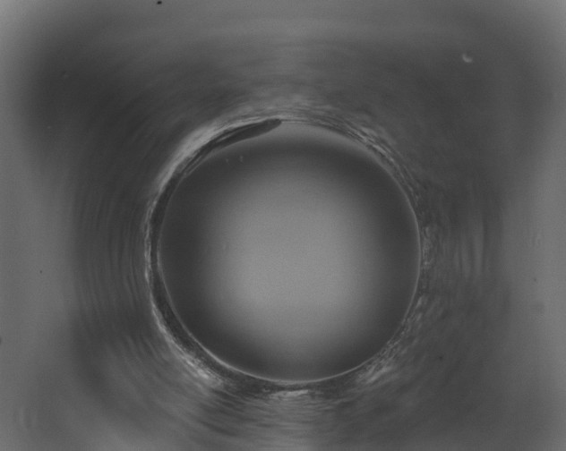 X0000068740054200605011036