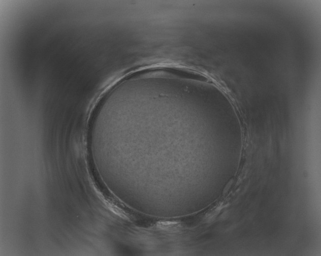 X0000068740055200605011036