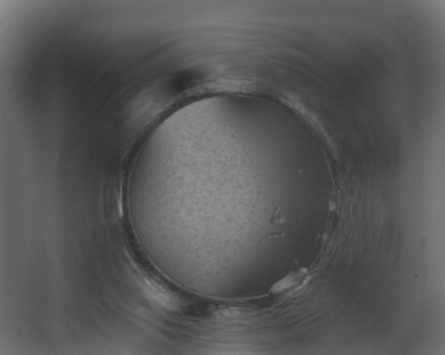 X0000068740062200605011036