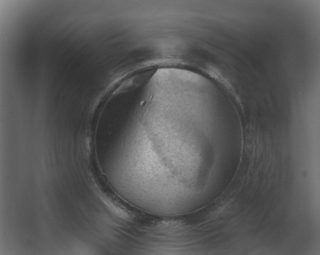 X0000068740063200605011036