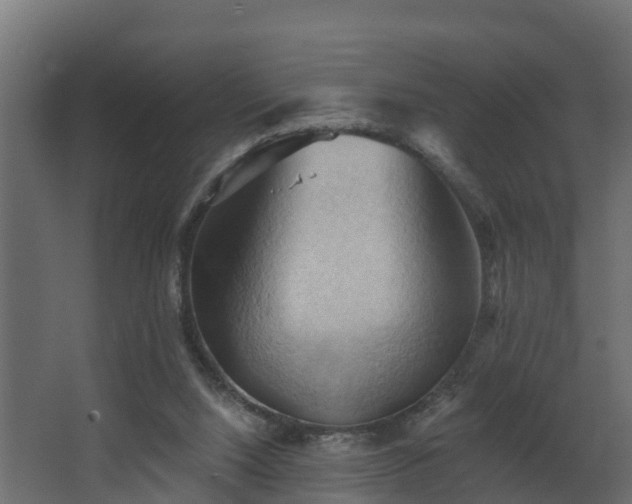 X0000068740064200605011036