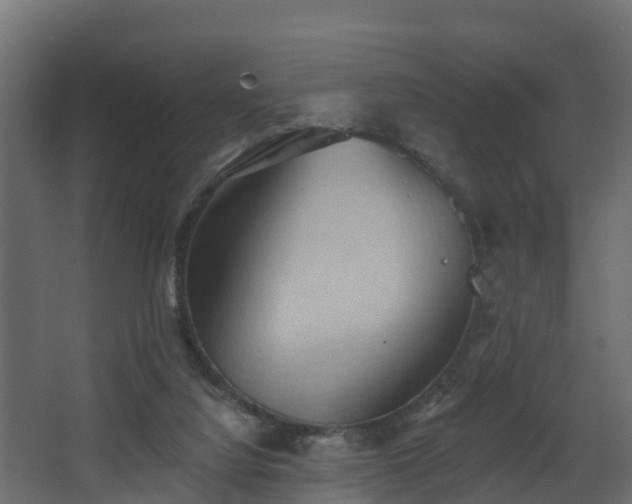 X0000068740068200605011036