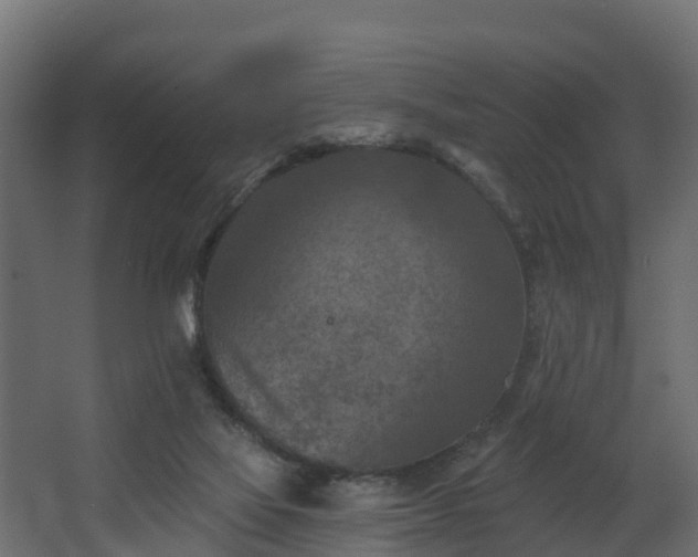 X0000068740069200605011036