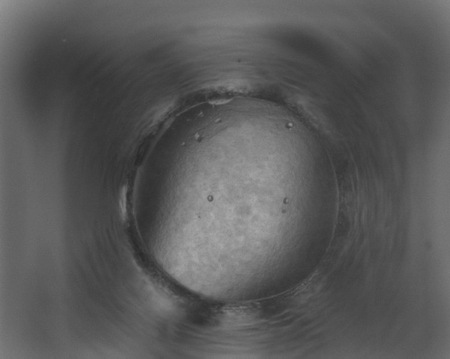 X0000068740070200605011036