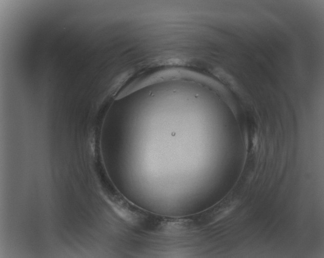 X0000068740072200605011036