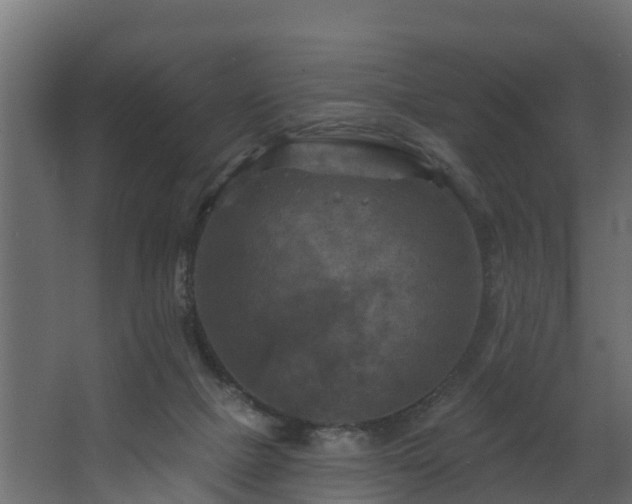 X0000068740073200605011036