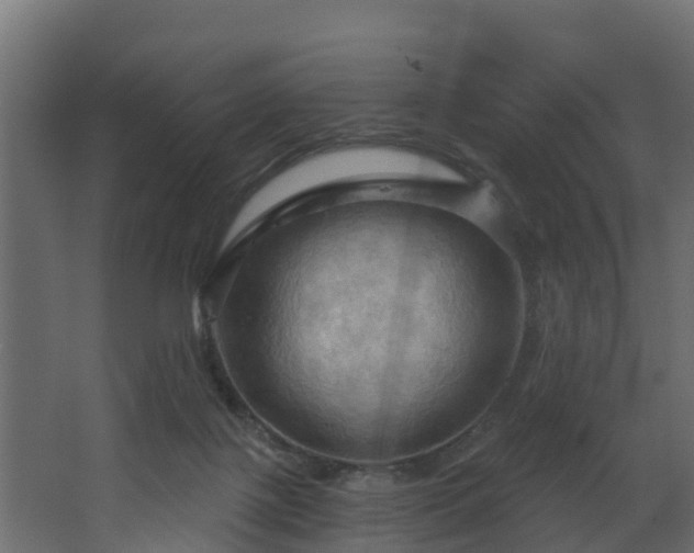 X0000068740075200605011036