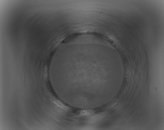 X0000068740077200605011036