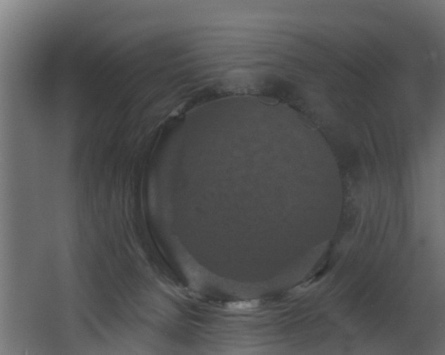 X0000068740080200605011036