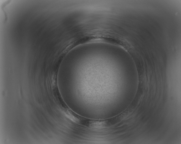 X0000068740081200605011036