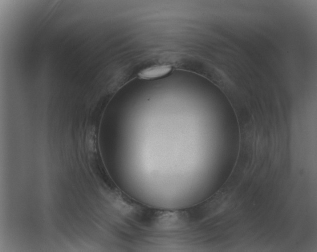 X0000068740083200605011036