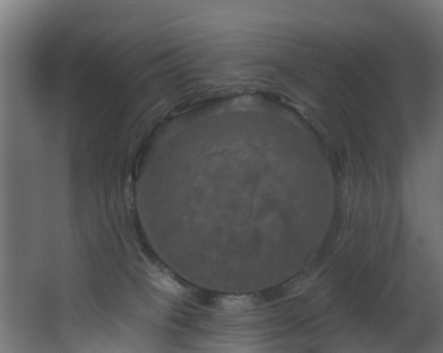 X0000068740085200605011036