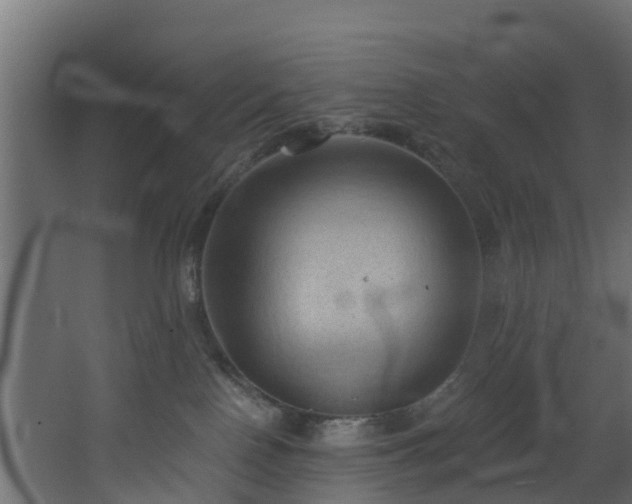 X0000068740090200605011036