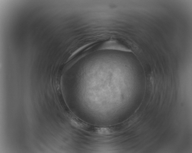 X0000068740091200605011036