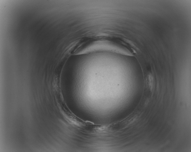 X0000068740092200605011036