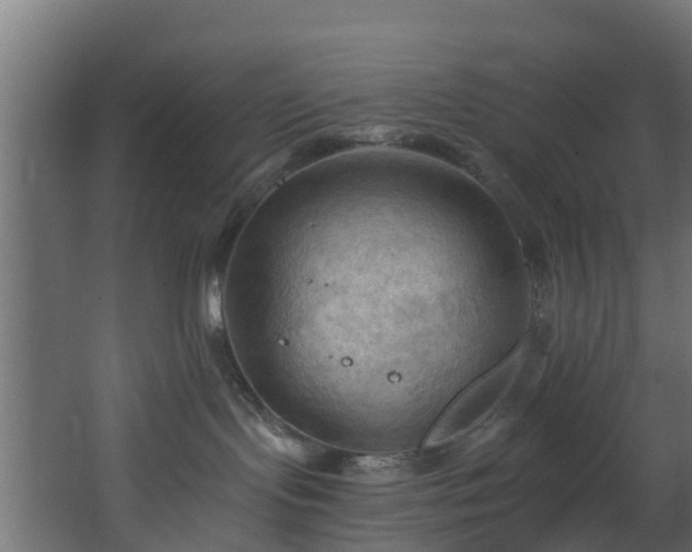 X0000068740095200605011036