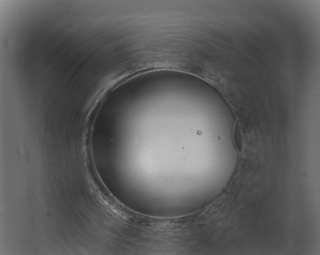 X0000068740098200605011036