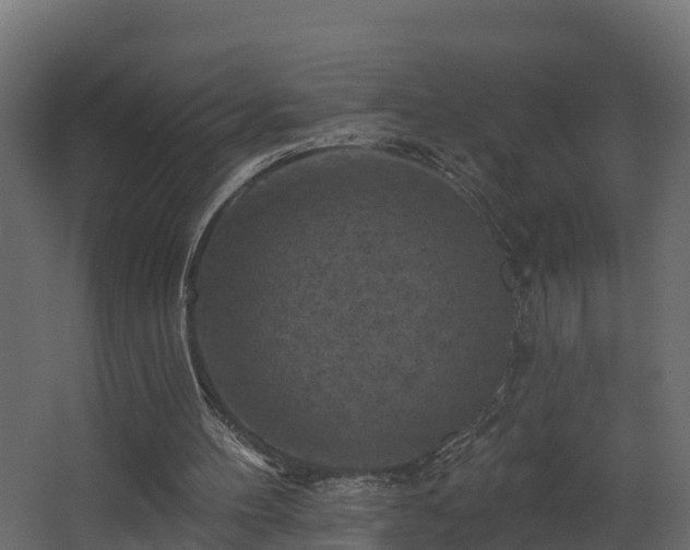 X0000068740100200605011036