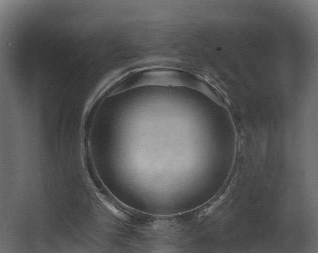 X0000068740101200605011036