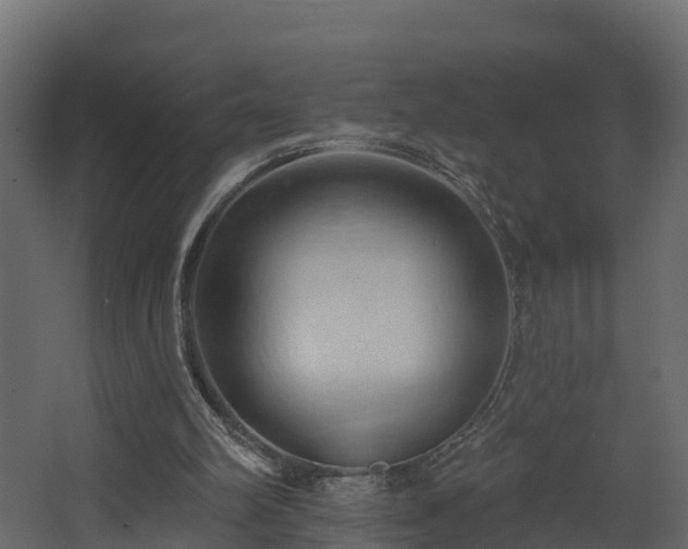 X0000068740102200605011036