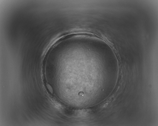 X0000068740103200605011036