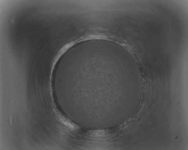 X0000068740104200605011036