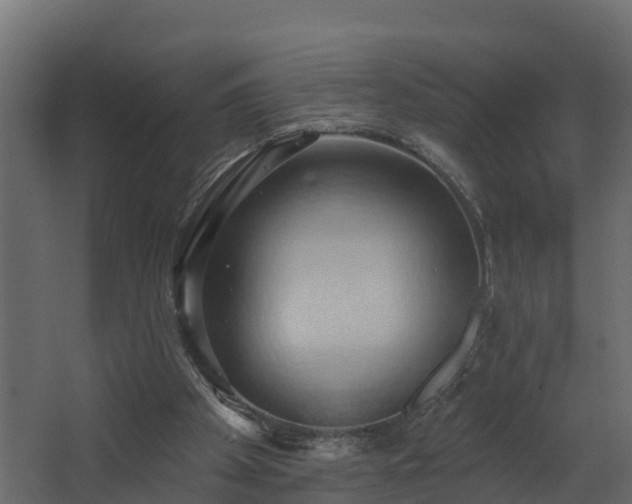 X0000068740105200605011035