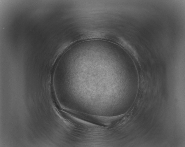 X0000068740107200605011035