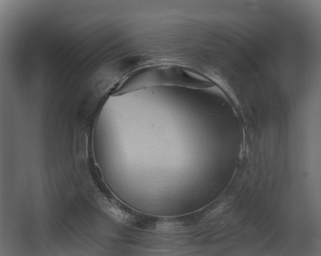 X0000068740109200605011035