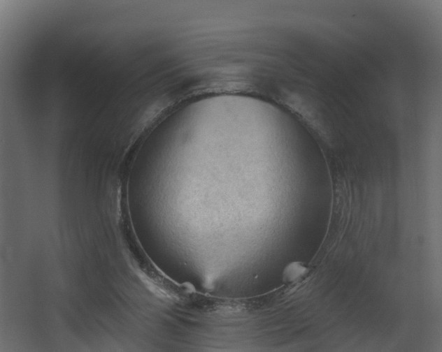 X0000068740110200605011035