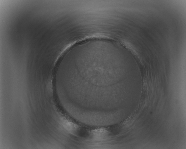 X0000068740112200605011035