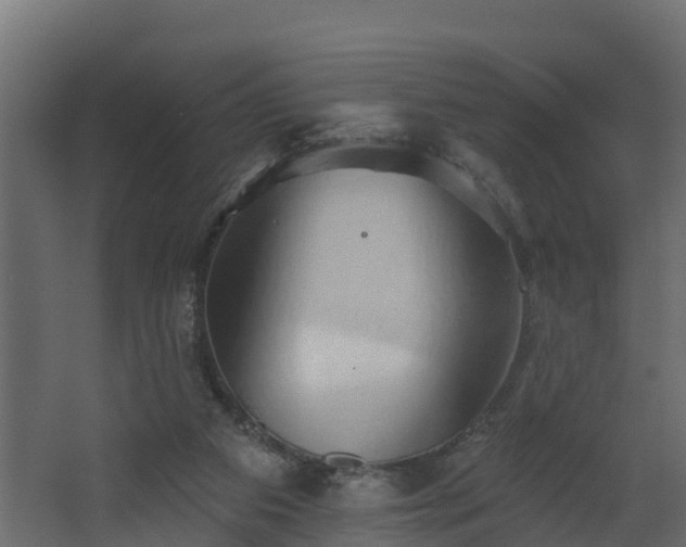 X0000068740113200605011035