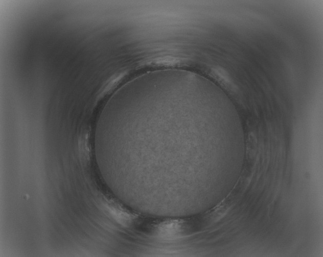 X0000068740116200605011035