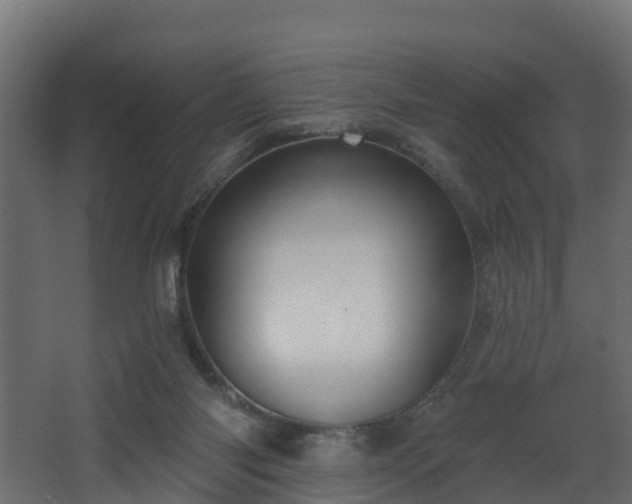 X0000068740118200605011035