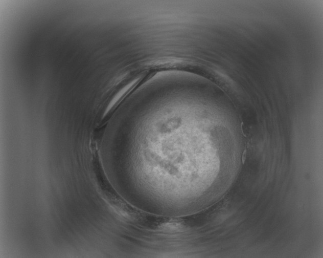 X0000068740119200605011035