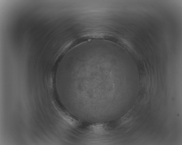 X0000068740120200605011035