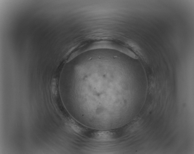 X0000068740121200605011035