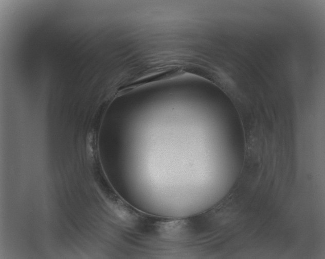 X0000068740122200605011035