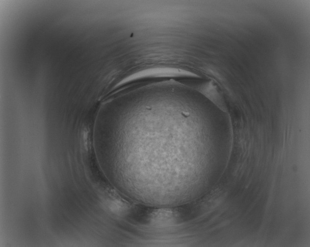 X0000068740123200605011035