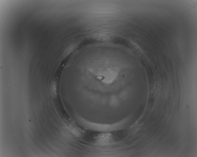 X0000068740124200605011035