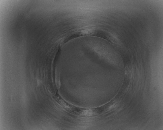 X0000068740127200605011035