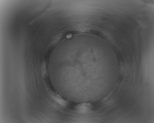 X0000068740128200605011035